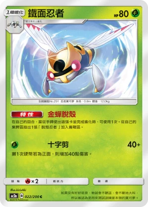 鐵面忍者