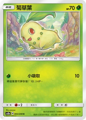 菊草葉