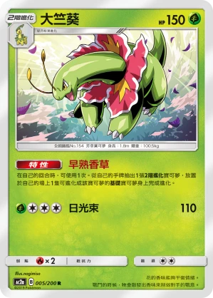 大竺葵
