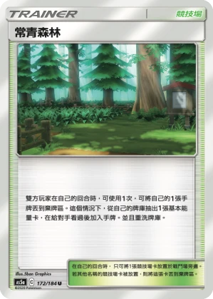 常青森林