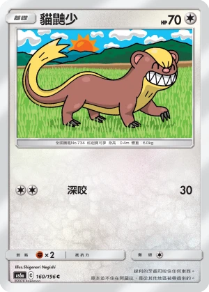 貓鼬少