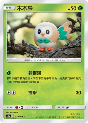 木木梟