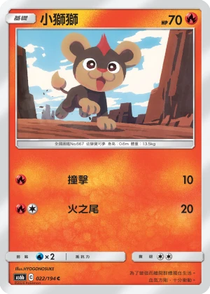 레오꼬