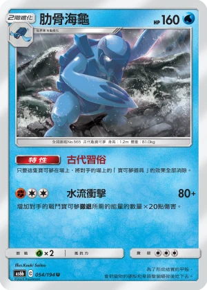 肋骨海龜