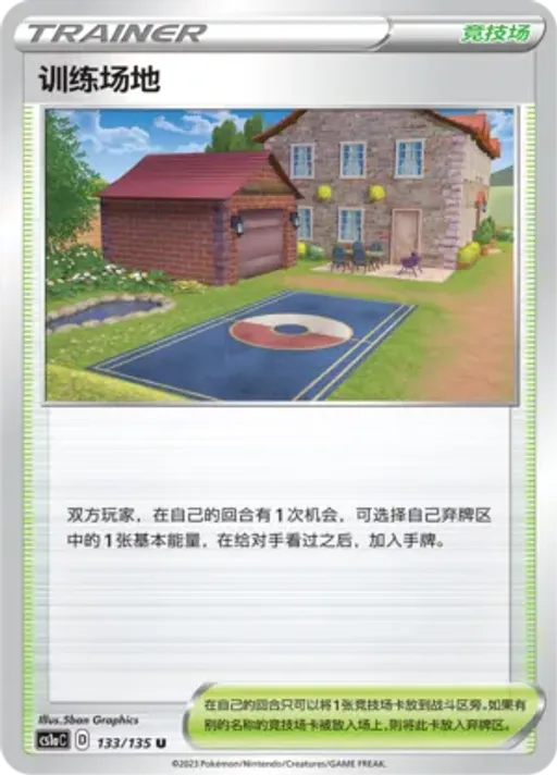Training Court