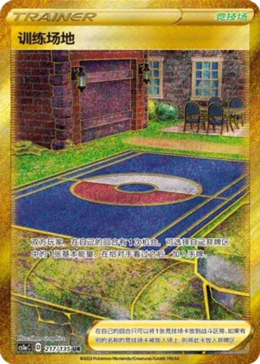 Training Court