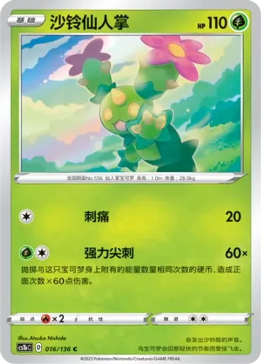 Maractus