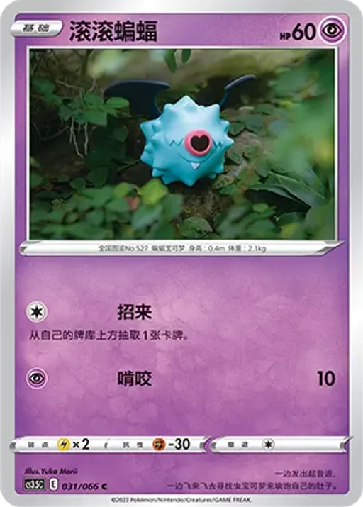 또르박쥐