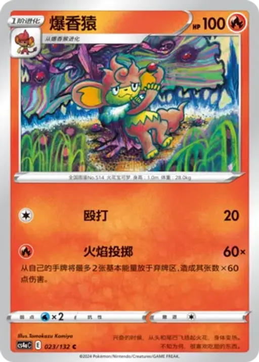 바오키