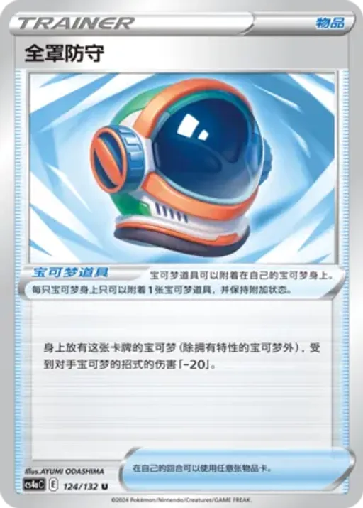 Full Face Guard