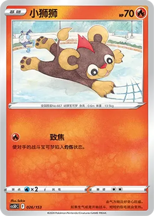 레오꼬