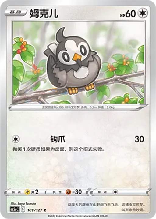 찌르꼬