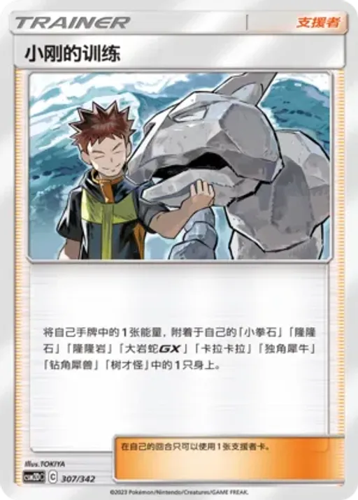 Brock's Training