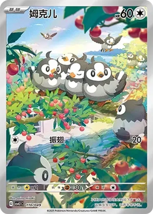찌르꼬