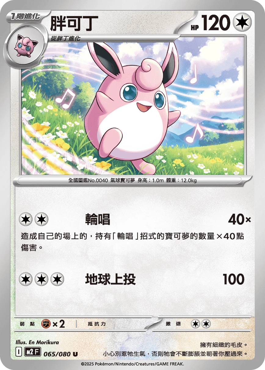 胖可丁