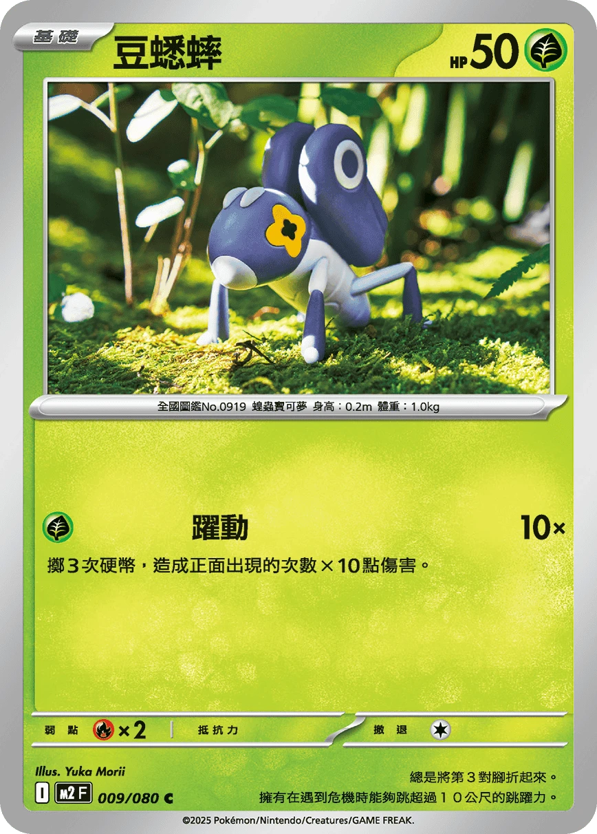 豆蟋蟀