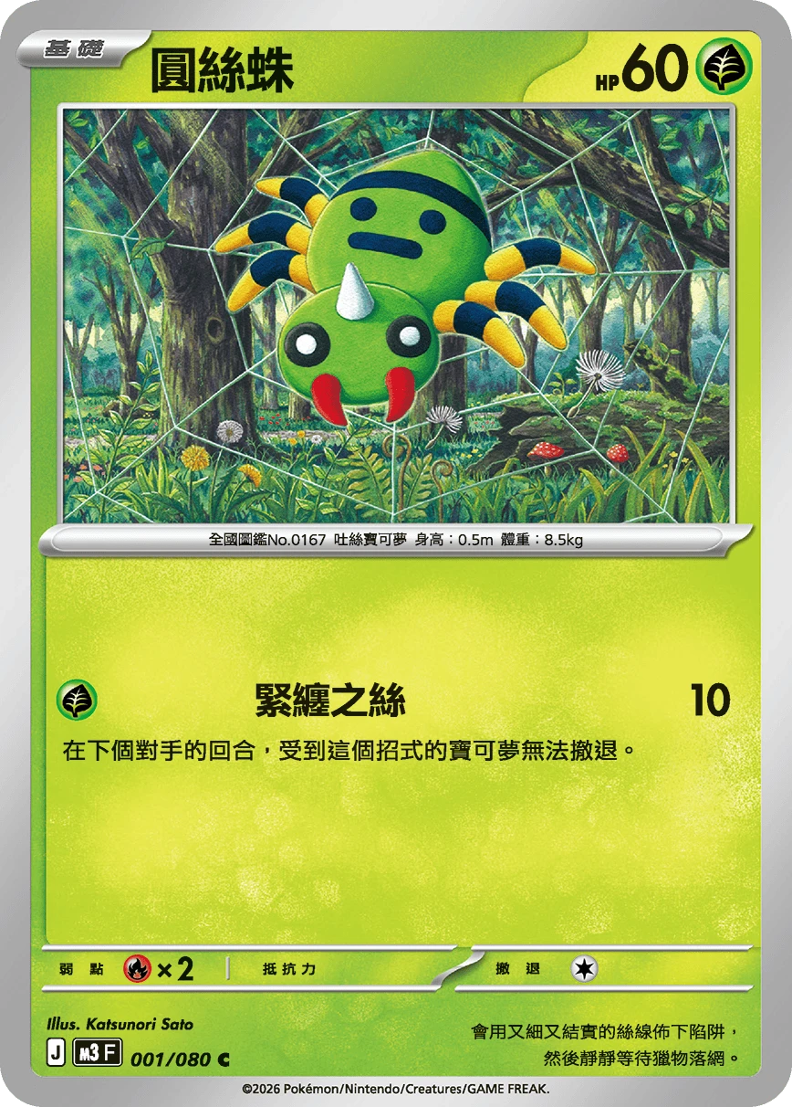 圓絲蛛