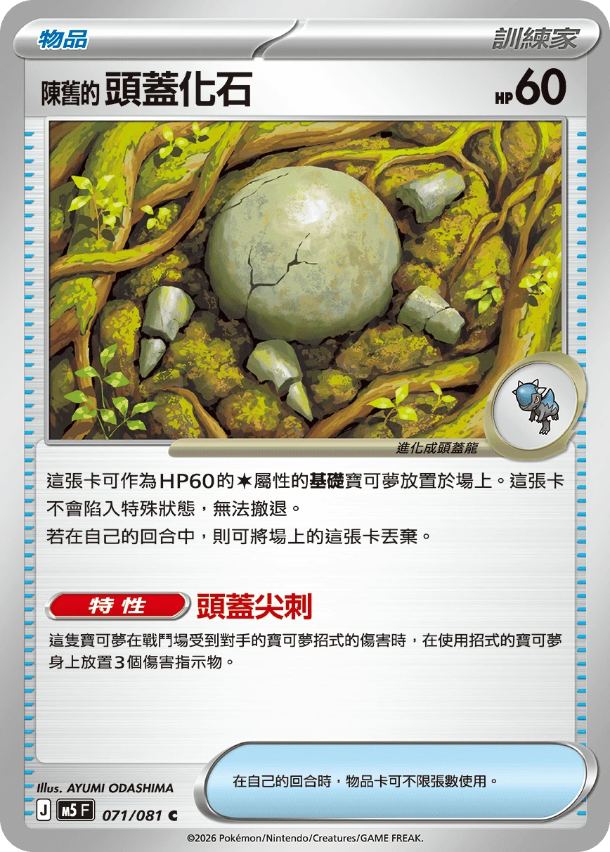 陳舊的頭蓋化石