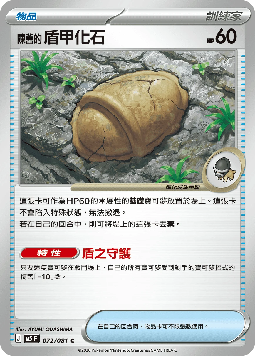 陳舊的盾甲化石