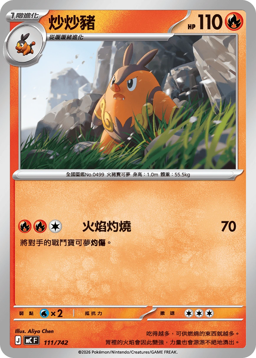 炒炒豬