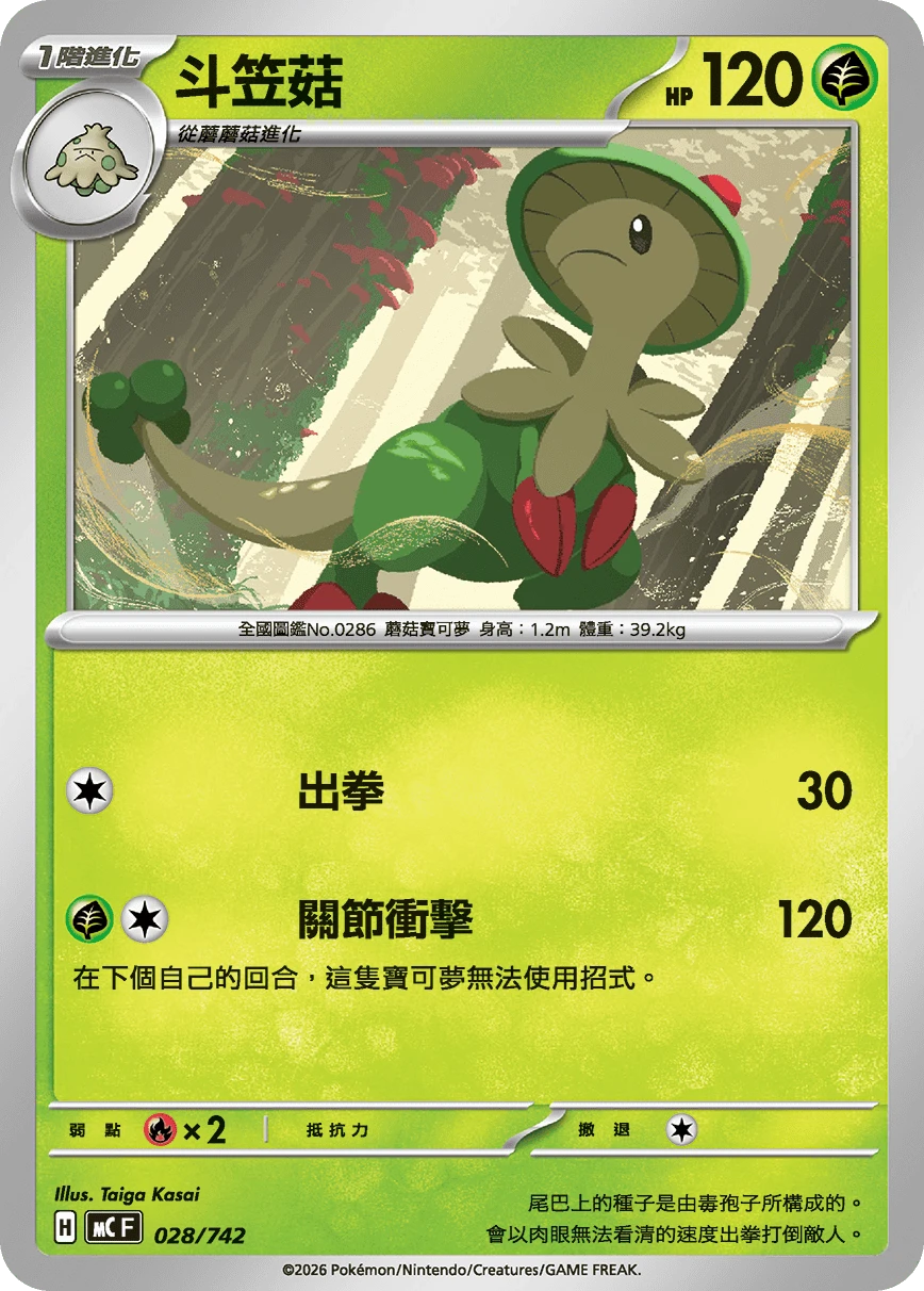 斗笠菇