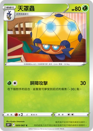 天罩蟲