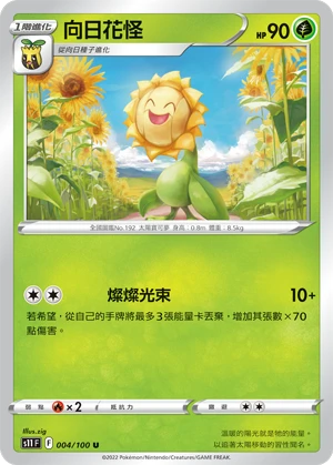 Sunflora