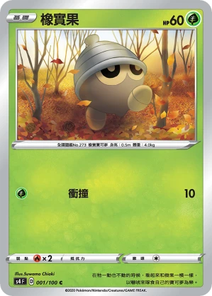 橡實果