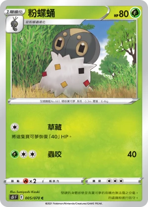 粉蝶蛹