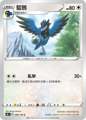 藍鴉