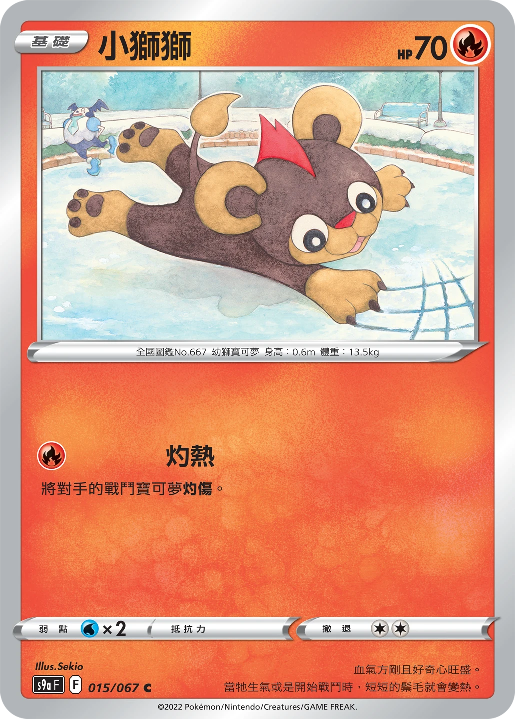 레오꼬