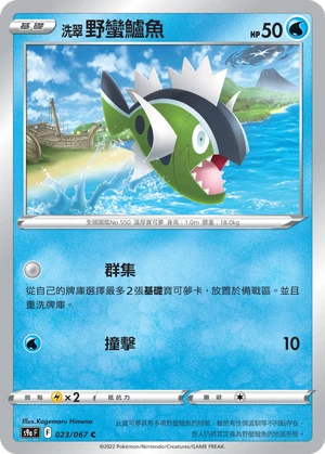 洗翠 野蠻鱸魚