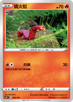 태우지네