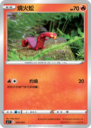 태우지네