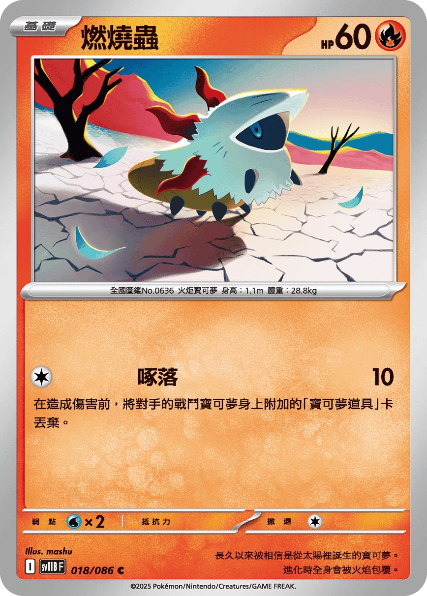 燃燒蟲