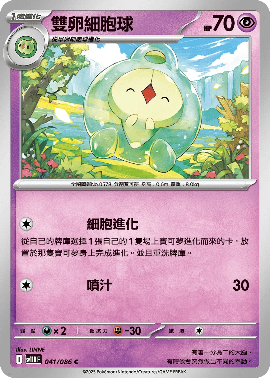 雙卵細胞球