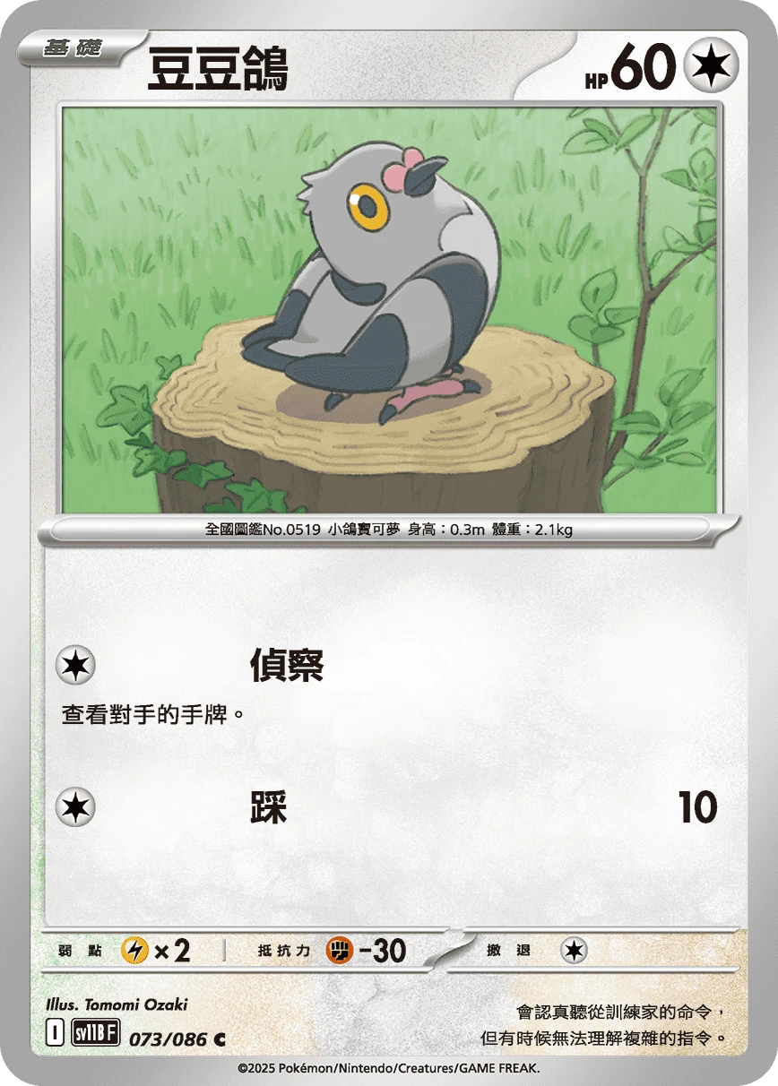 豆豆鴿