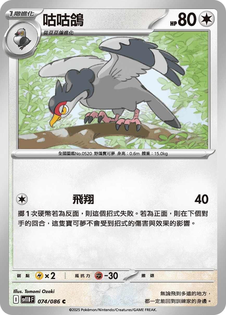咕咕鴿