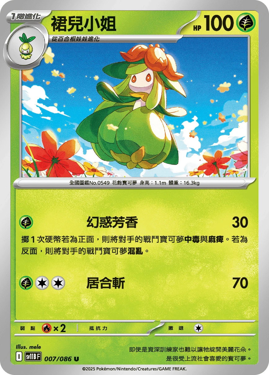 裙兒小姐
