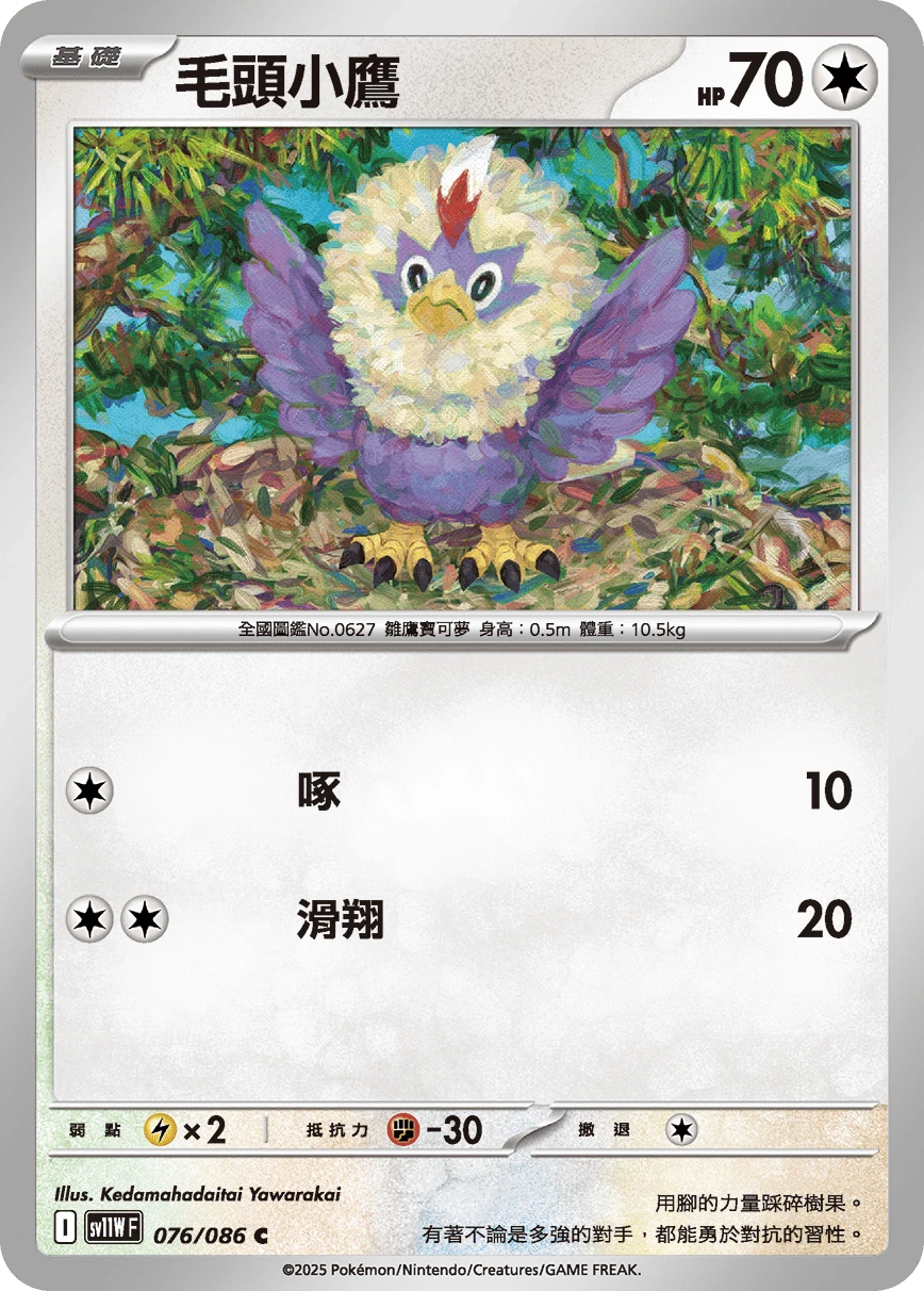 毛頭小鷹