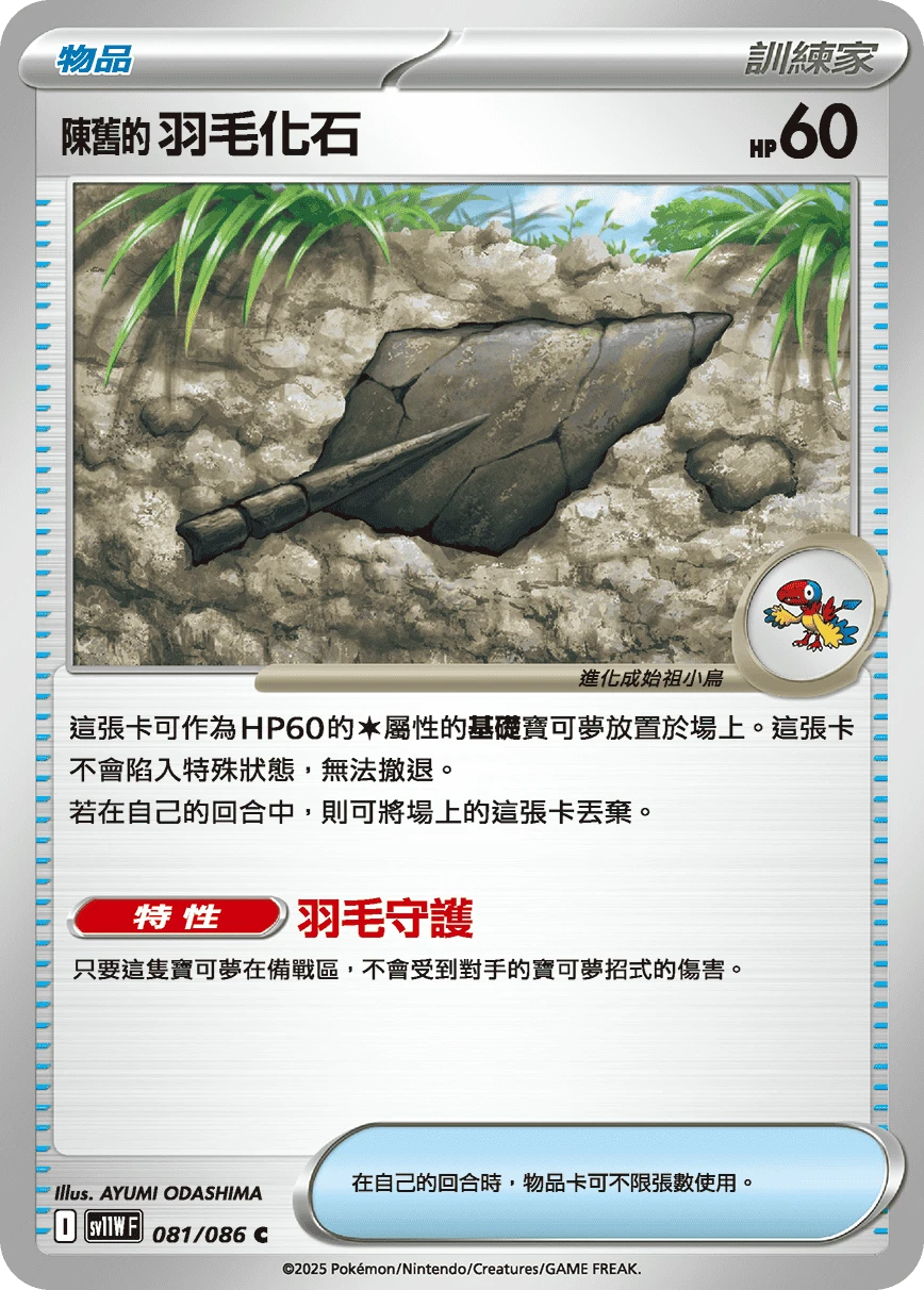 陳舊的羽毛化石