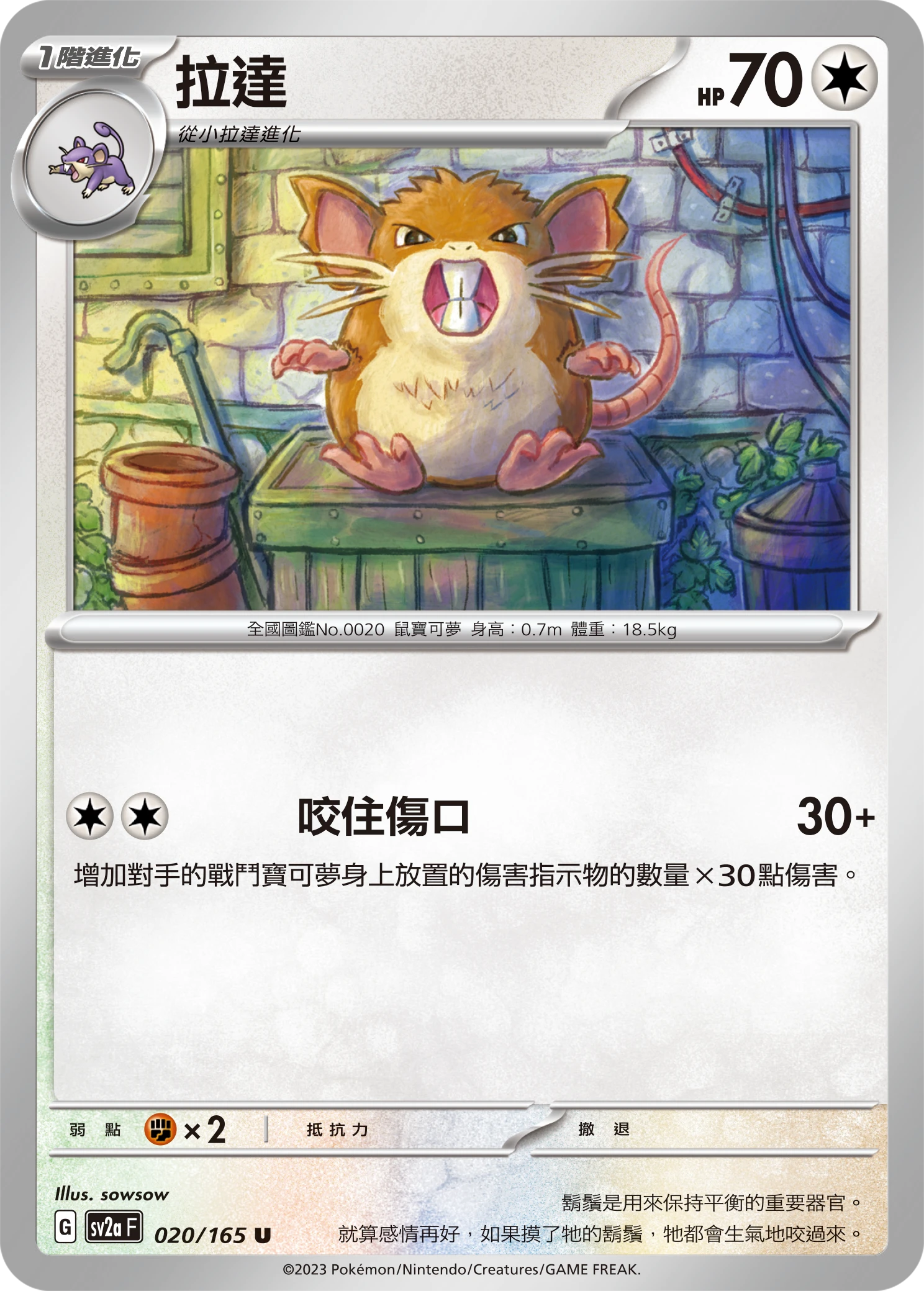 레트라