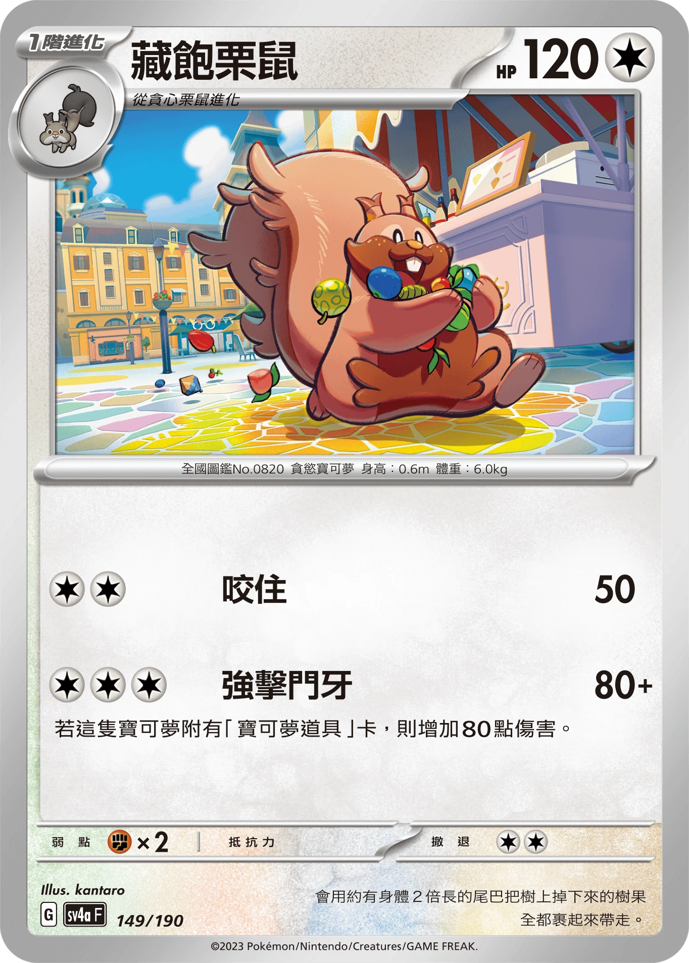 藏飽栗鼠