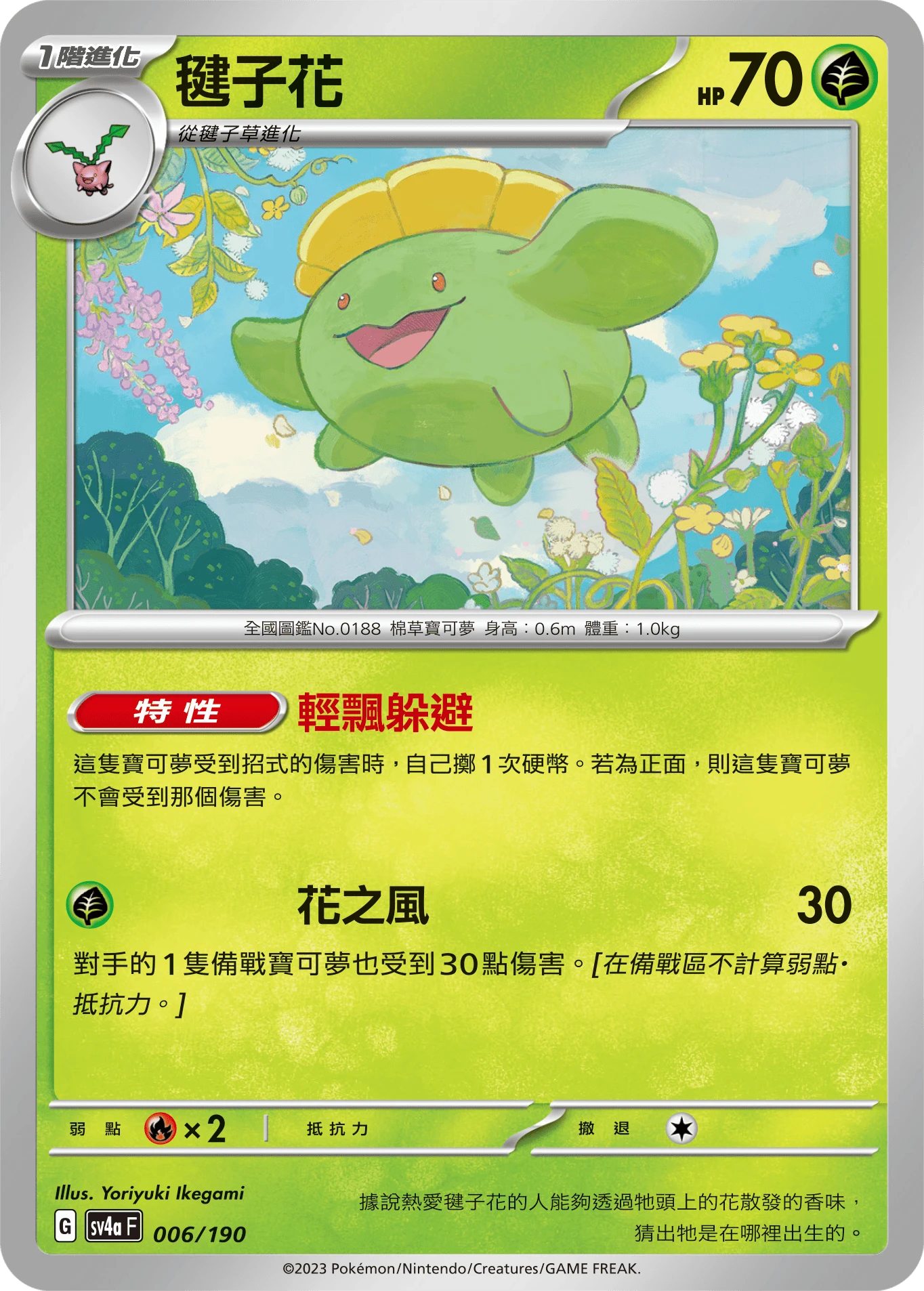 毽子花