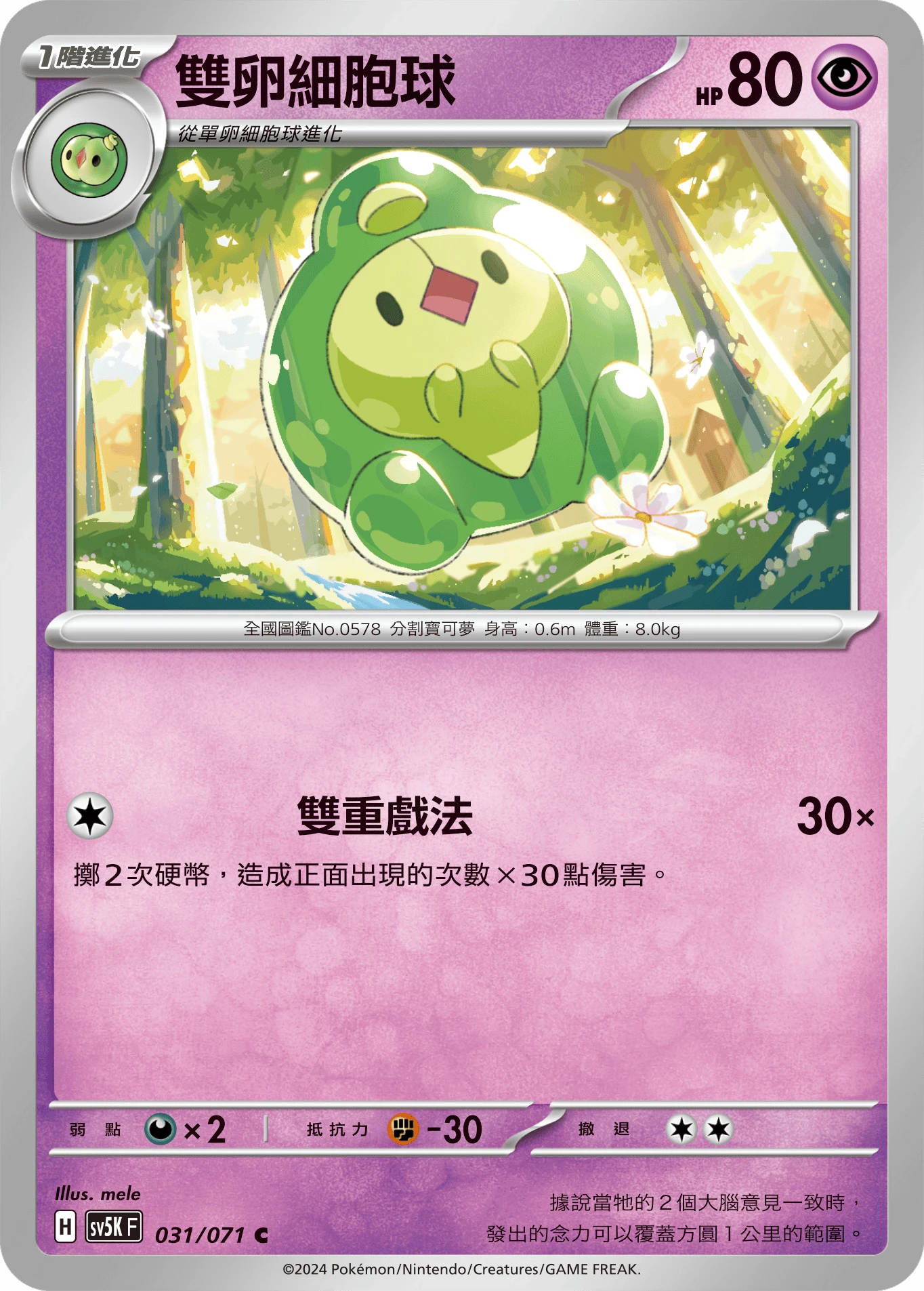雙卵細胞球