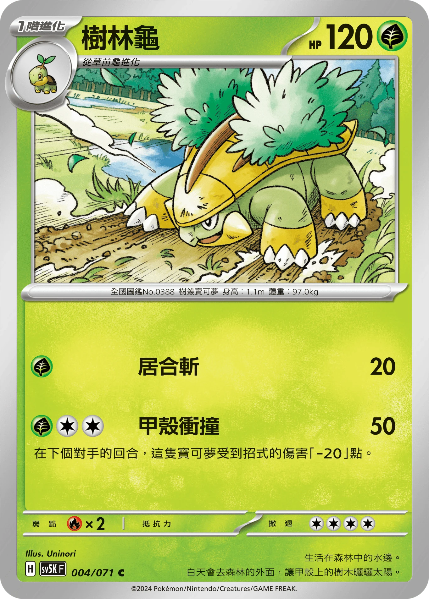 樹林龜