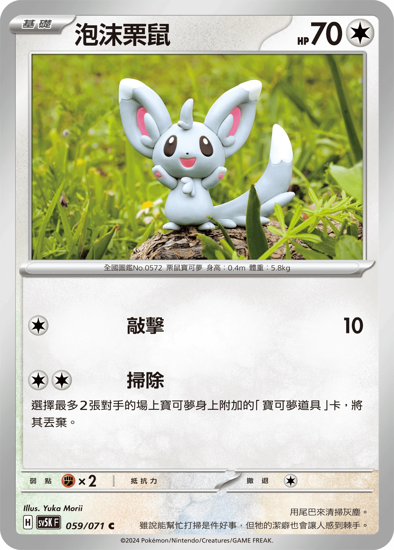 泡沫栗鼠
