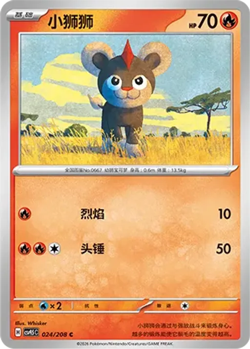 레오꼬
