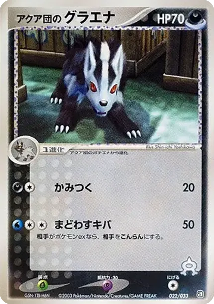 Team Aqua's Mightyena