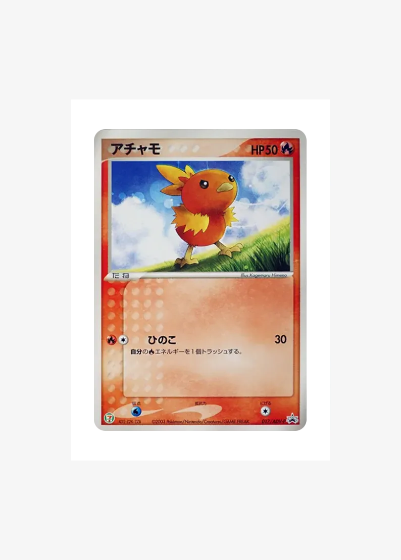 Torchic P